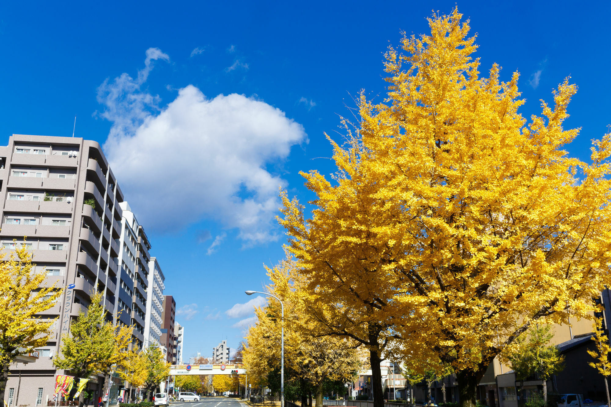 Kyoto City Hotel Екстериор снимка
